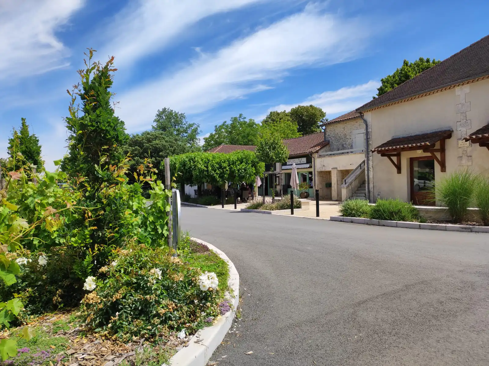 Boucle des roseaux et des orchidées Saint-Victor Nouvelle-Aquitaine