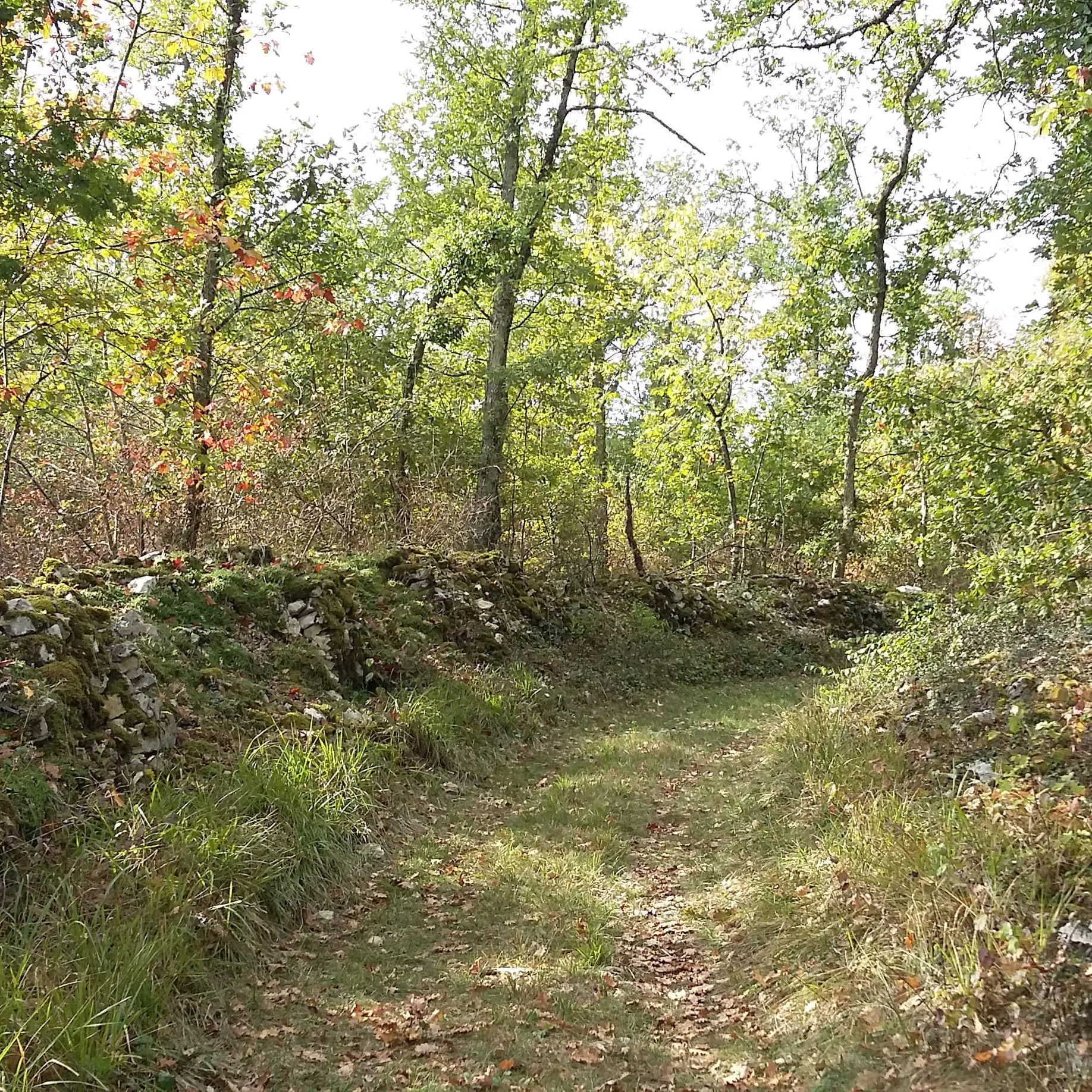 Rando active Saint Beauzeil