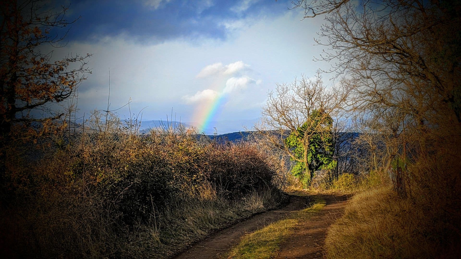 RANDONNEE DU SENTIER DES BEALS Salasc Occitanie