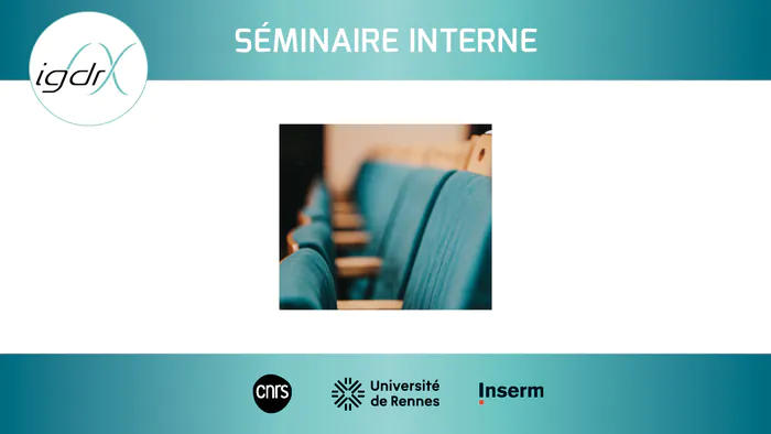 Séminaire interne - Louis Le Nezet & Piotr Krezel Salle de conférence - RDC bâtiment 4 - IGDR - Campus Santé Villejean - Université de Rennes Rennes