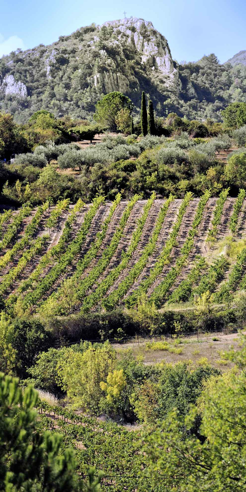 RANDONNÉE SORTEILHO Saint-Chinian Occitanie