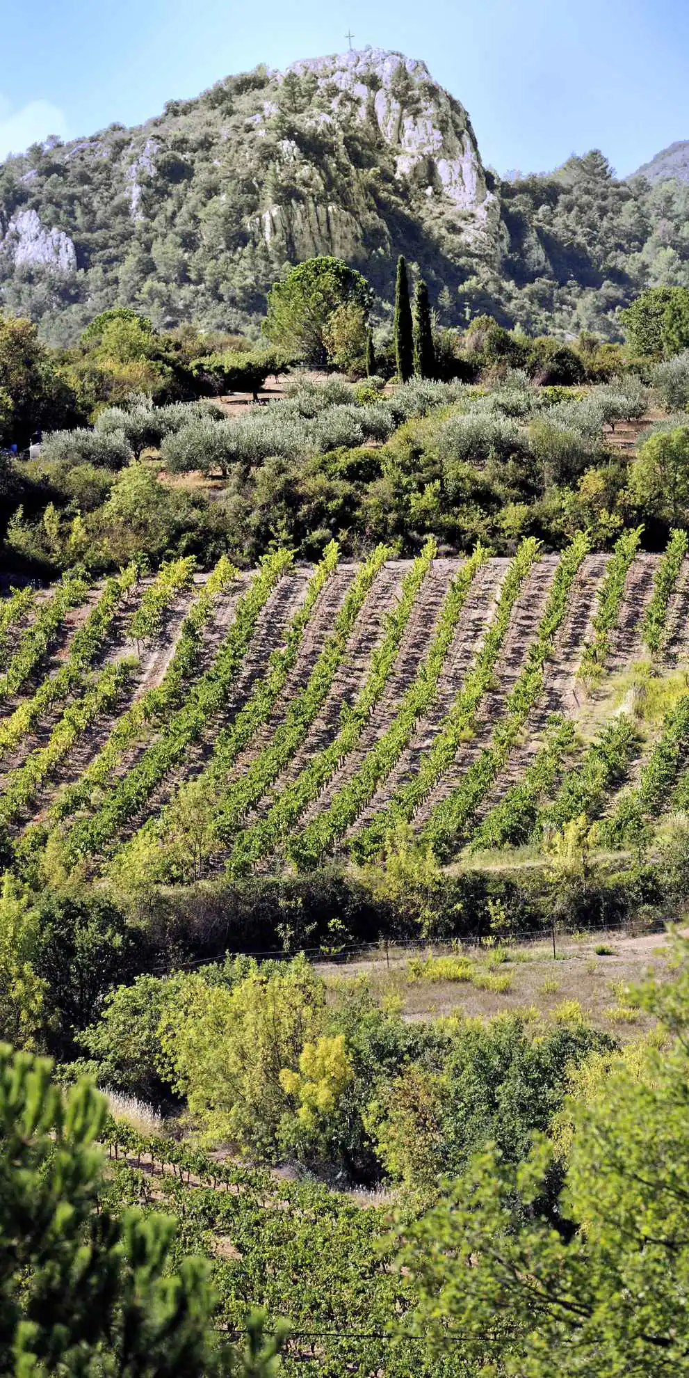 RANDONNÉE SORTEILHO Saint-Chinian Occitanie