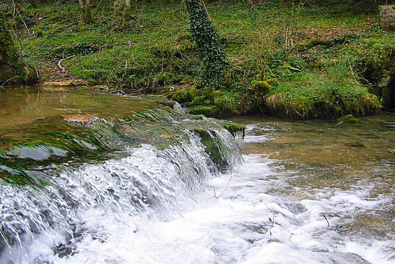 SENTIER DE DECOUVERTE DE LA SOURCE DE L'AUBE Aujeurres Grand Est