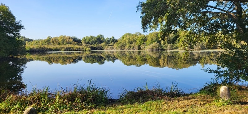 Le Papillon A32 Tigy Centre-Val de Loire