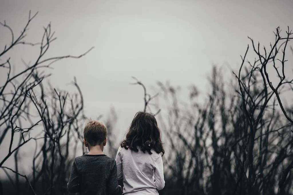 L'OPPOSITION CHEZ LE JEUNE ENFANT