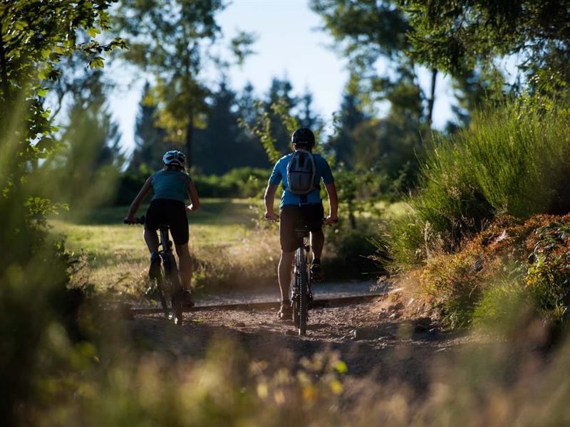 CIRCUIT VTT N°7 (BLEU) LE TOUR DU METTEY Vagney Grand Est