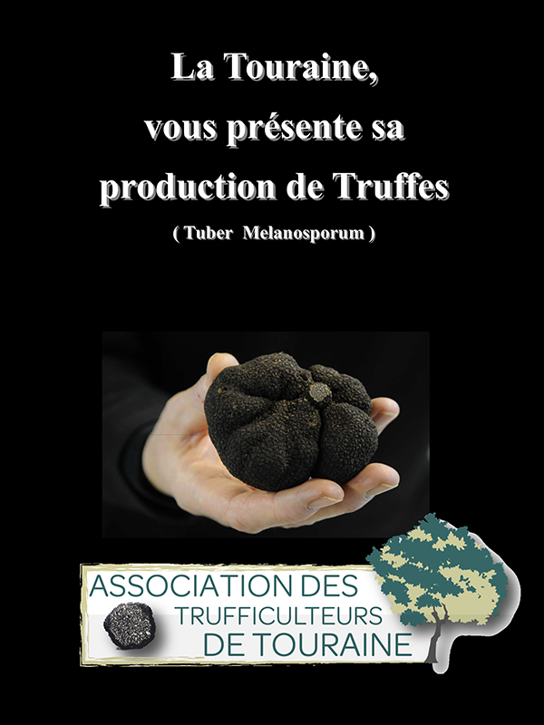 Marché aux truffes