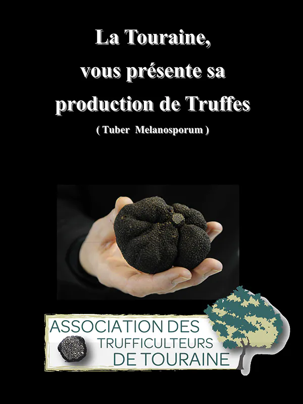 Marché aux truffes