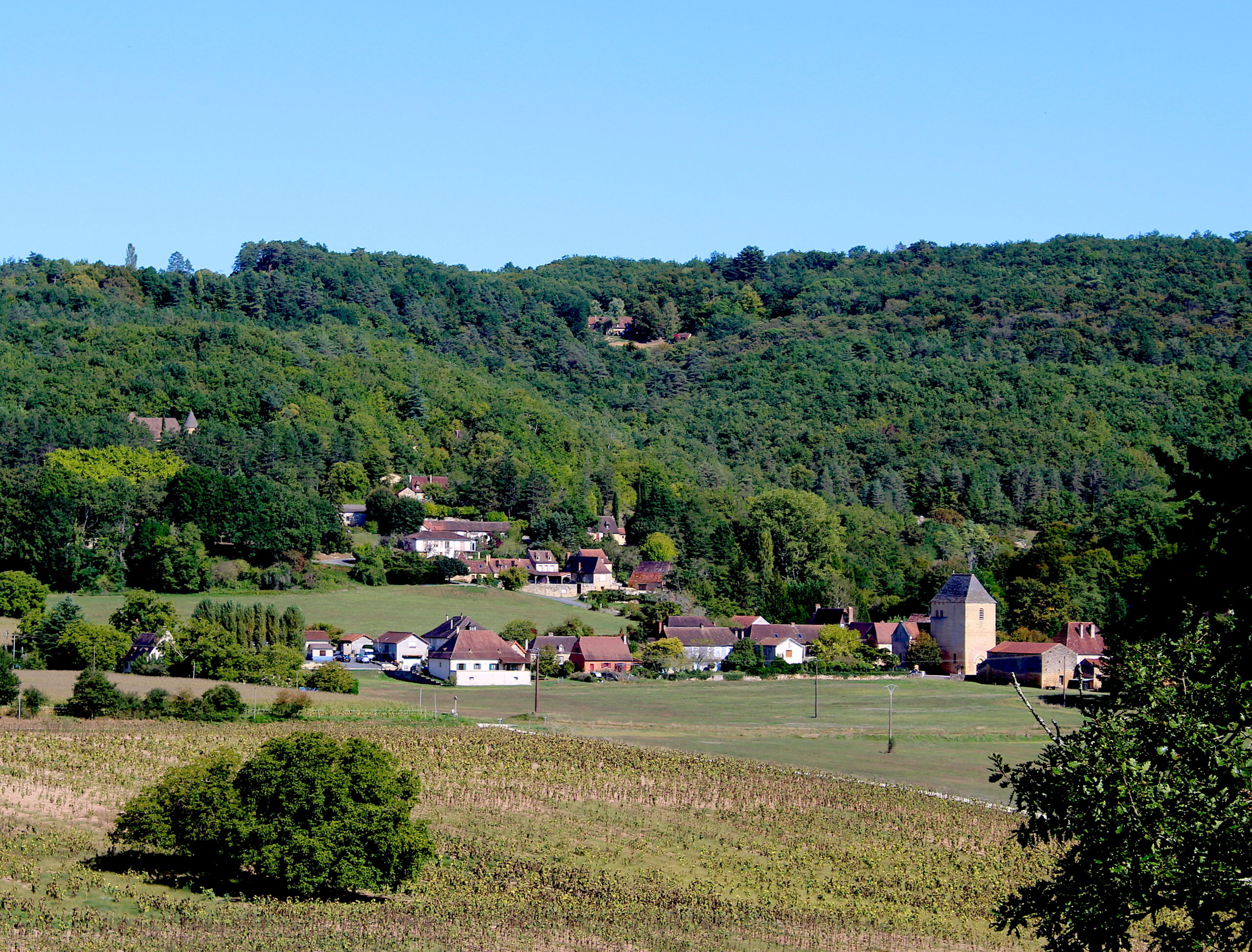 Boucle de Cabrillac n° 19 / Tursac Tursac Nouvelle-Aquitaine