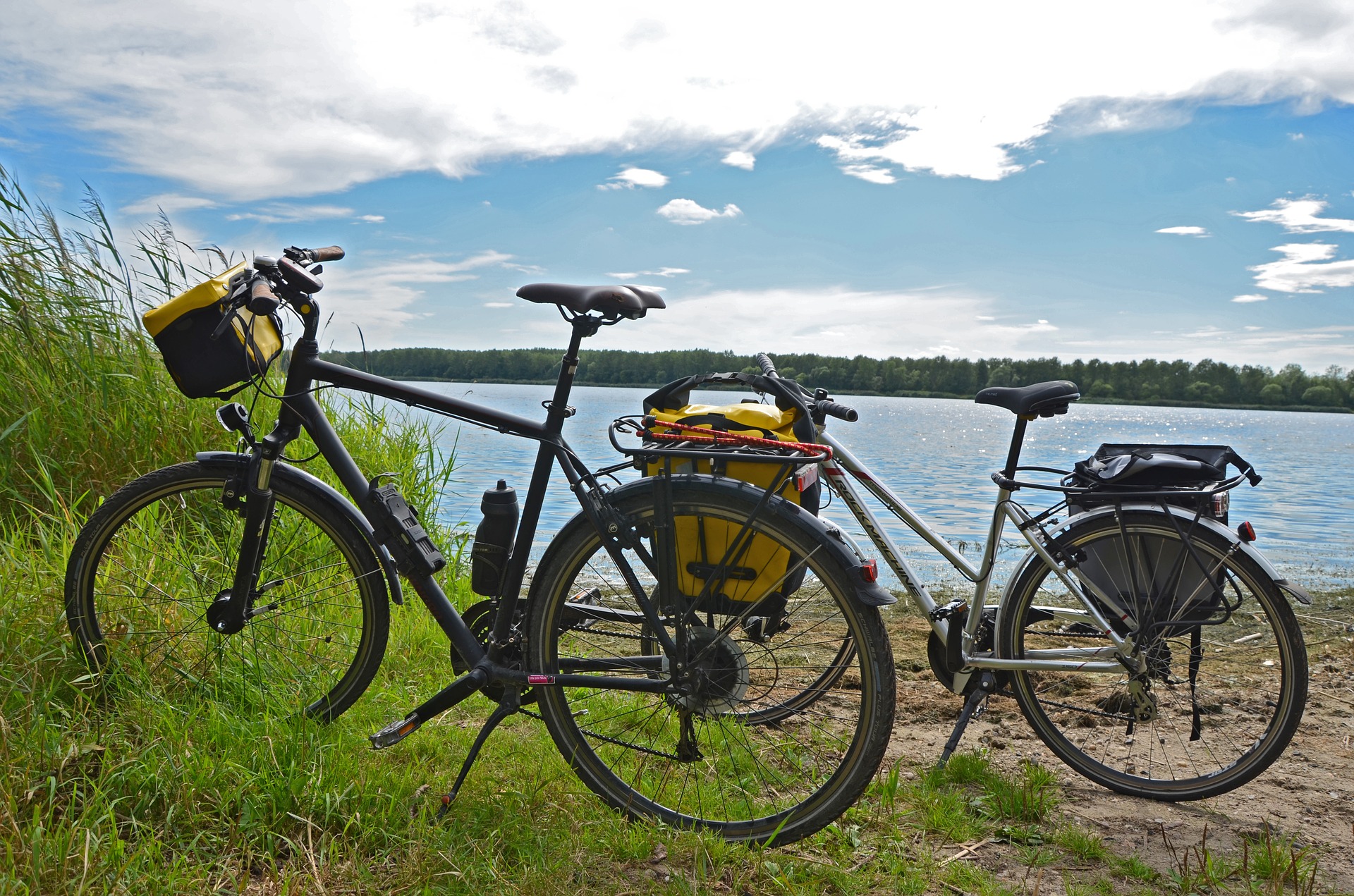 Le tour du Lac du Der en Champagne Giffaumont-Champaubert Grand Est