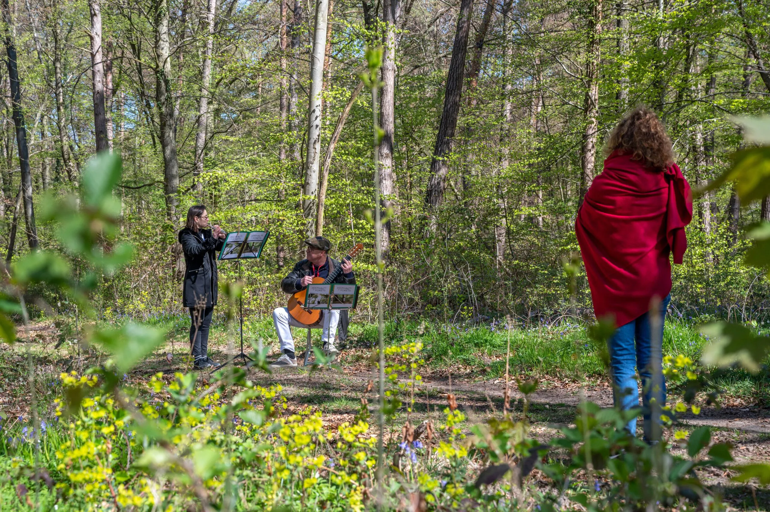 Bain de Forêt Musical Mozart en chemin...