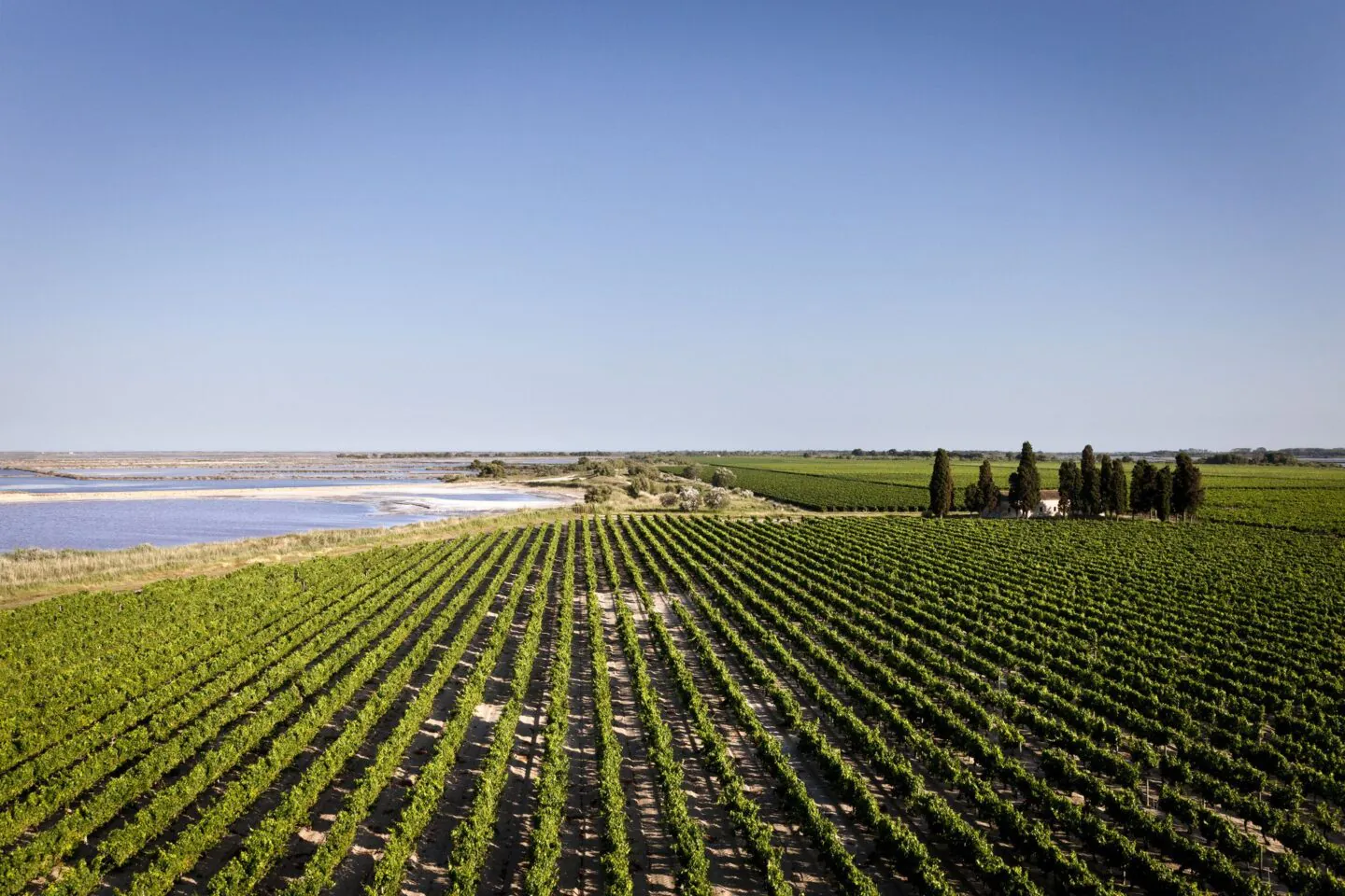 VINS ET MÉDITERRANÉE La Grande-Motte Occitanie