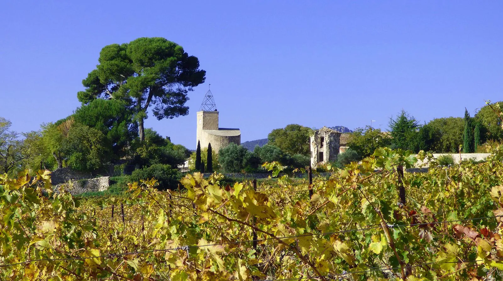 OENORANDO® DE CASTELBARRY ENTRE VIGNES ET OLIVIERS Montpeyroux Occitanie