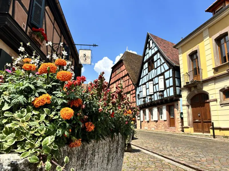 Circuit rando de Kaysersberg à Kientzheim par les vignes Kaysersberg Vignoble Grand Est