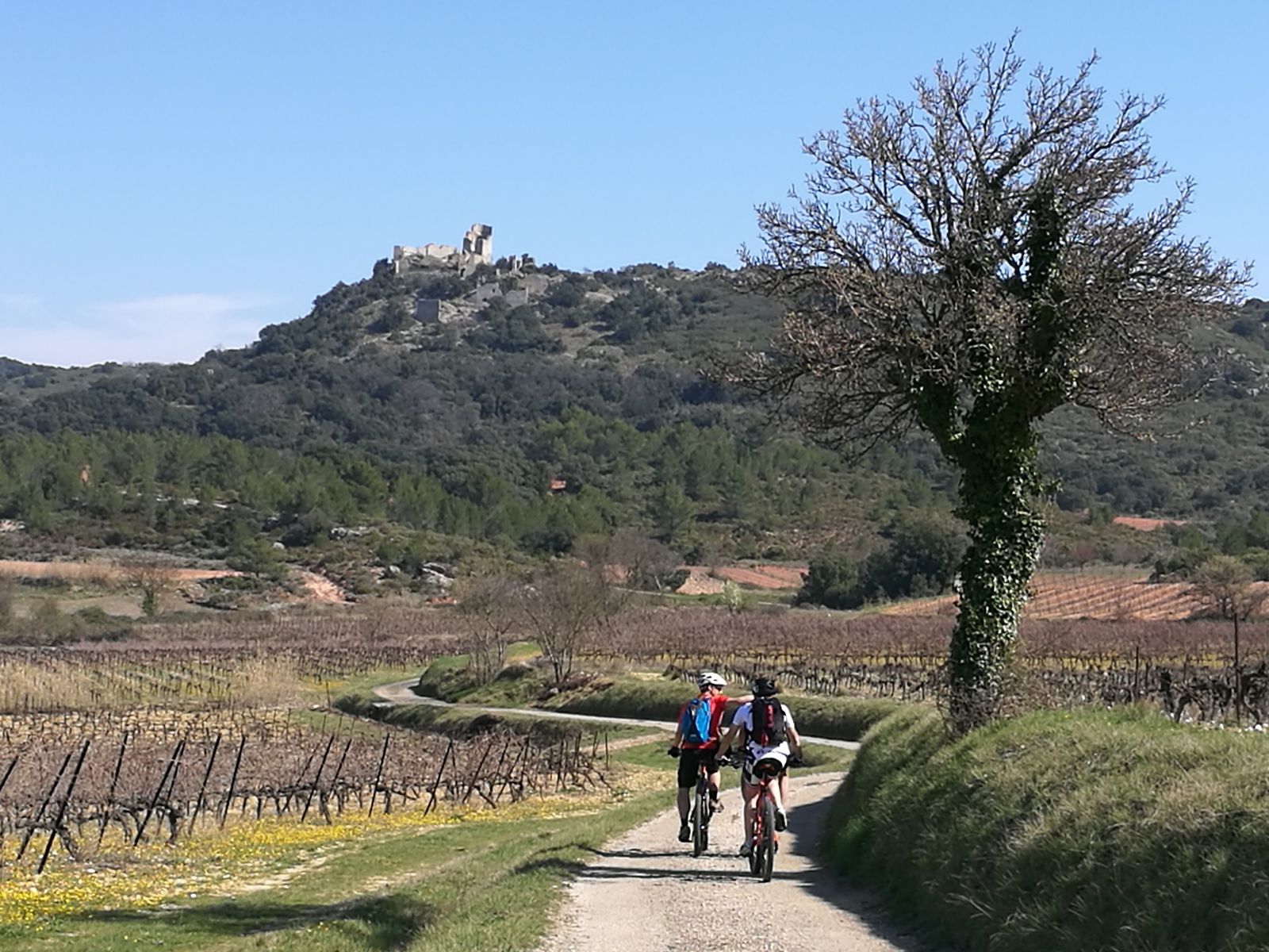 CIRCUIT LE CASTELLAS D'AUMELAS ESPACE VTT-FFC VALLÉE DE L'HÉRAULT Vendémian Occitanie