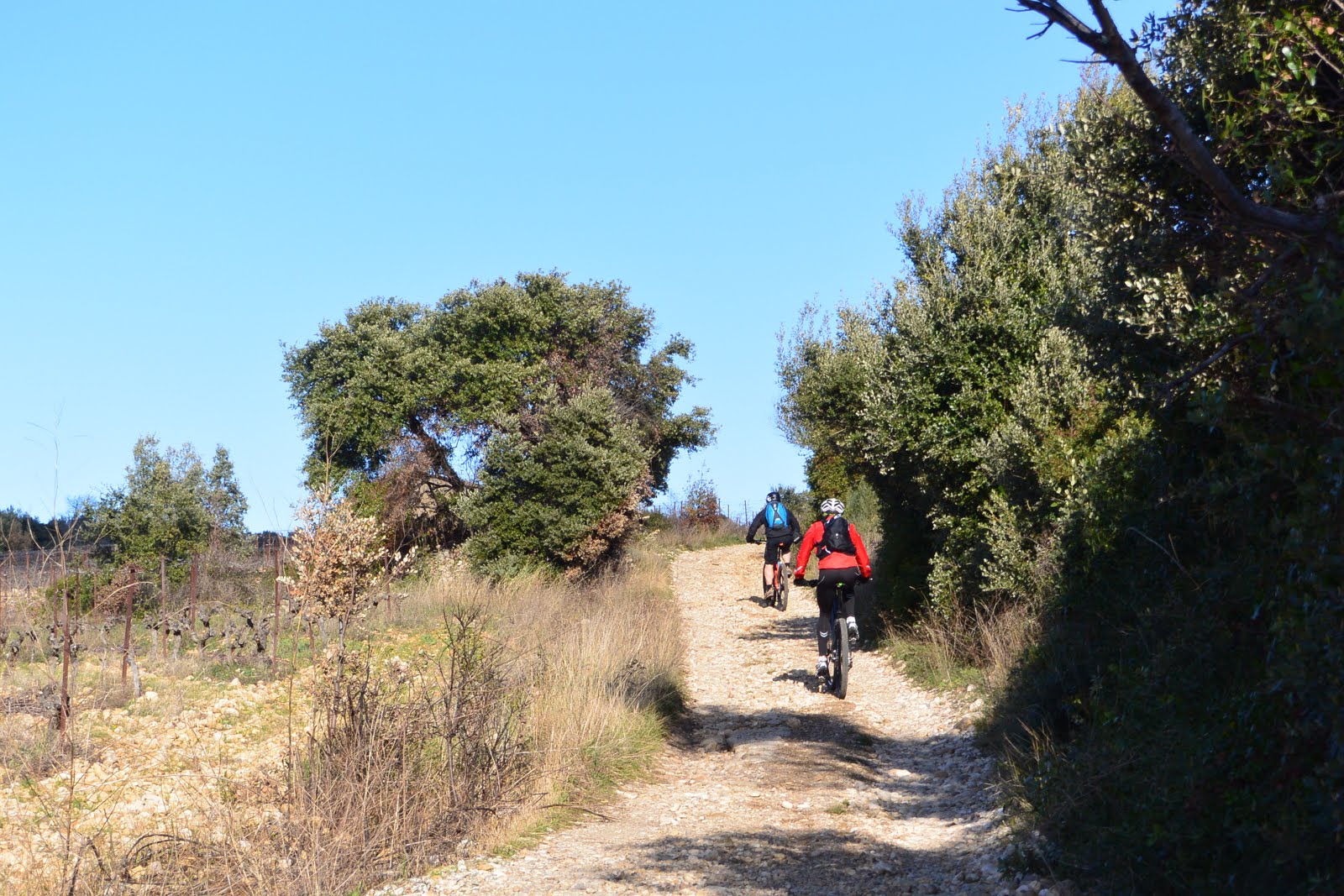 CIRCUIT LE CAUSSE DE MONTCALMÈS ESPACE VTT-FFC VALLÉE DE L'HÉRAULT Puéchabon Occitanie