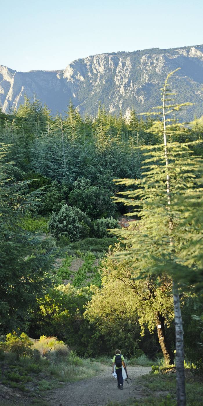 RANDONNÉE SAINT-MARTIN-DE-DOUNARO Prades-sur-Vernazobre Occitanie