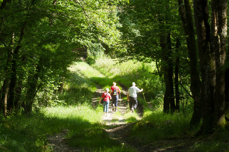 Randonnée en itinérance Bocage du val d 'Anglin Bélâbre Centre-Val de Loire