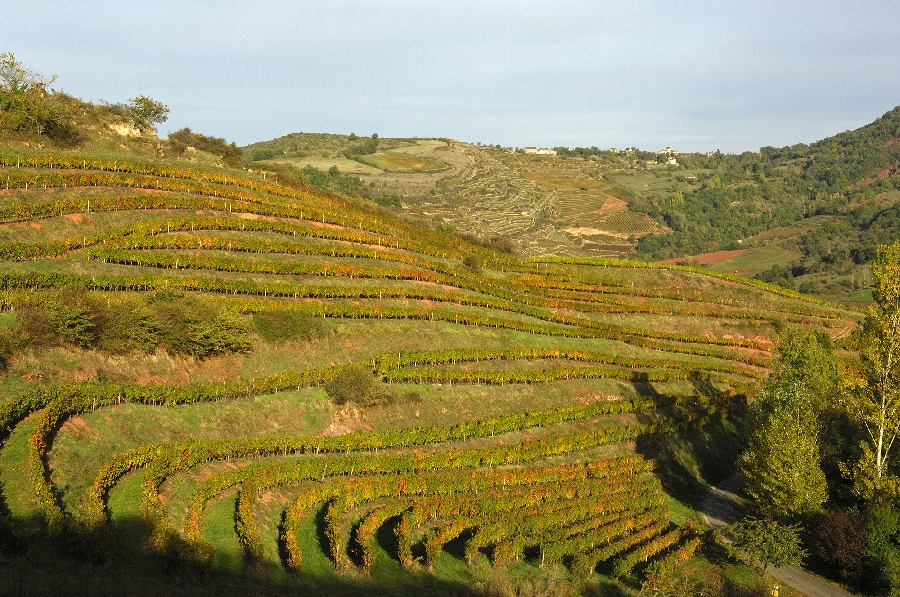 La route des vins de Marcillac Marcillac-Vallon Occitanie