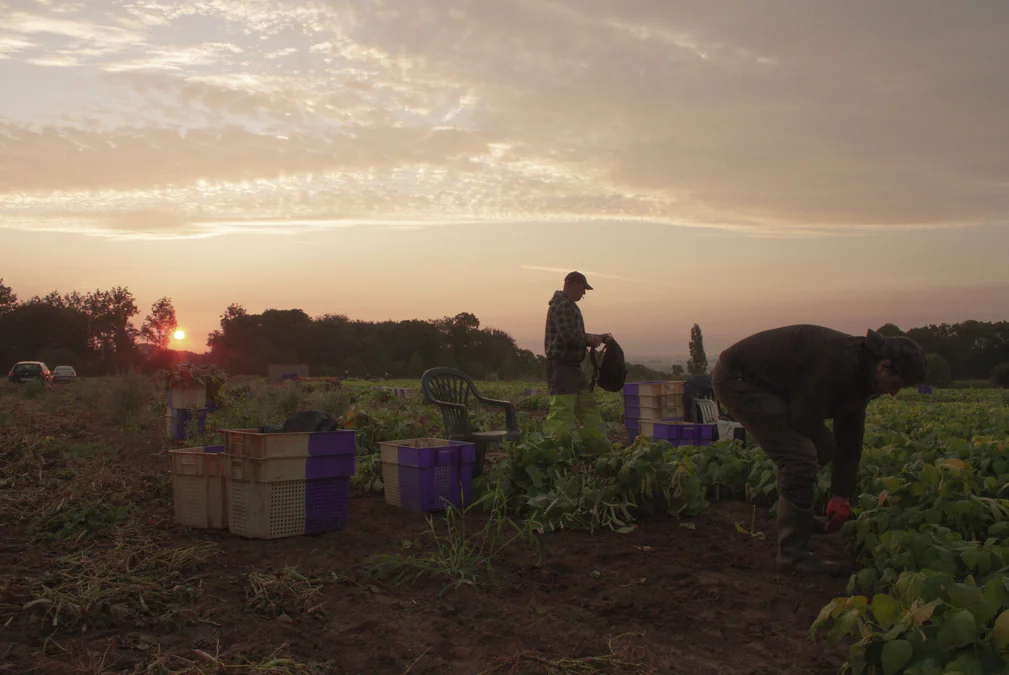 Jeremias Escudero
Ouvriers agricoles
Cocos de Paimpol