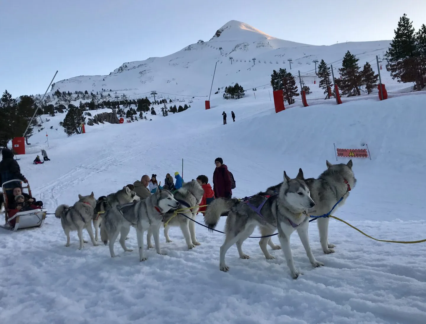 Baptême découverte en traîneau à chiens