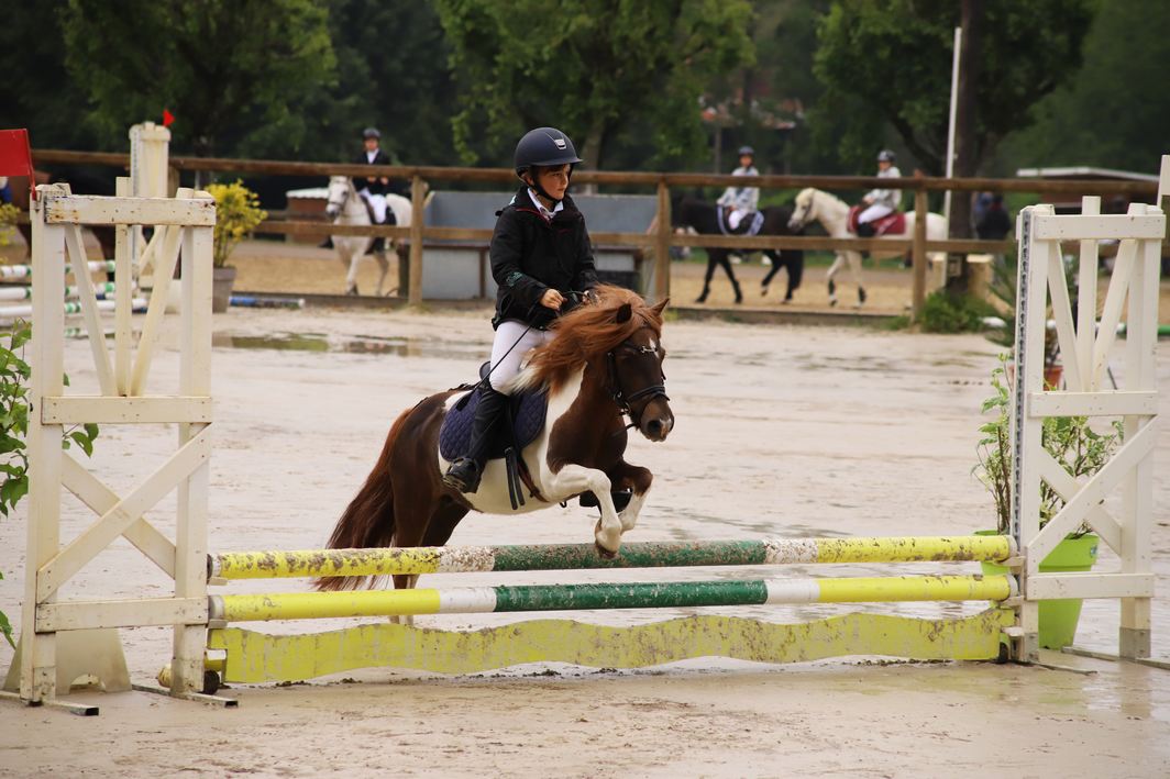 Concours de Saut d'Obstacles Poneys Tournée des As