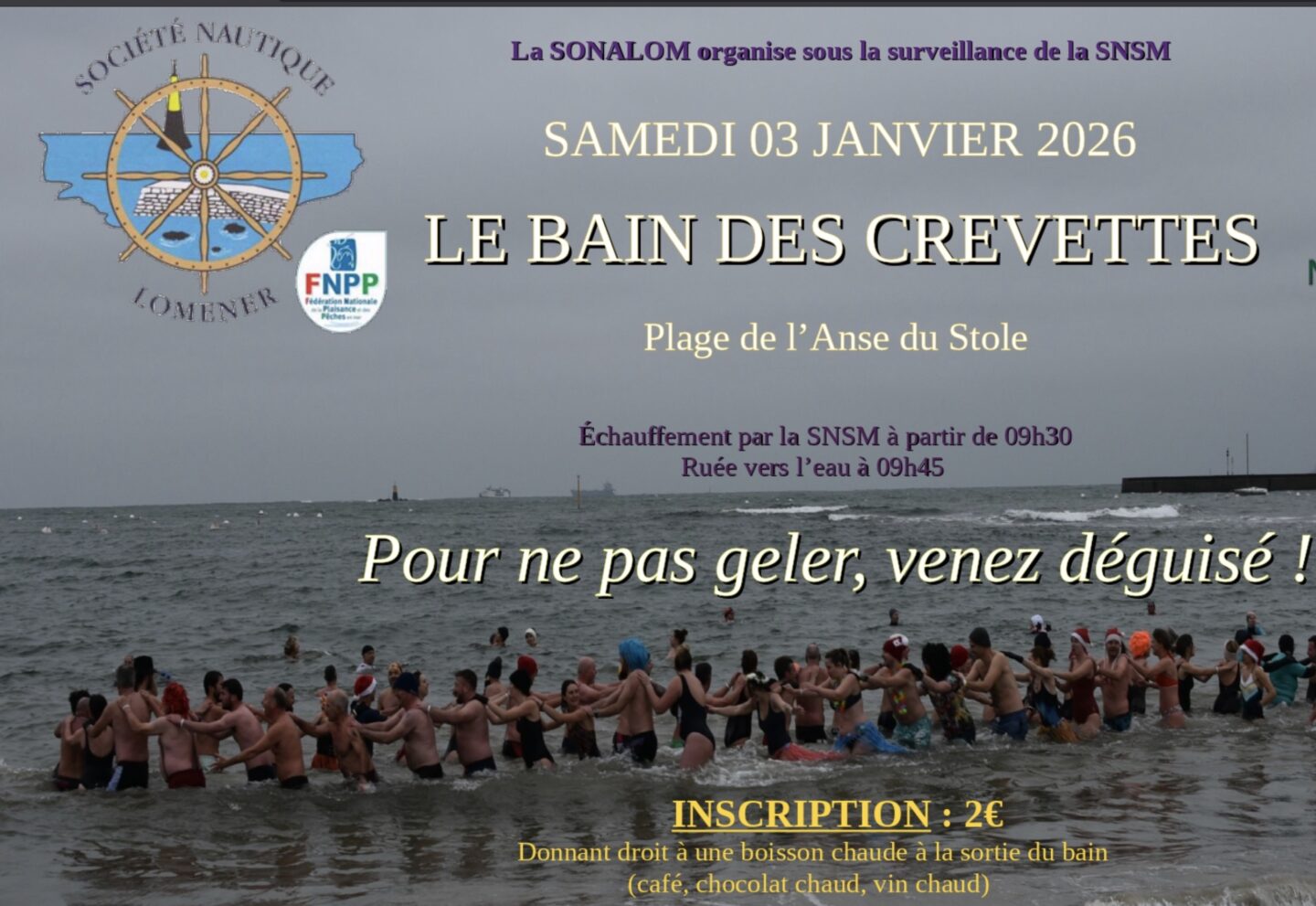 Bain des crevettes