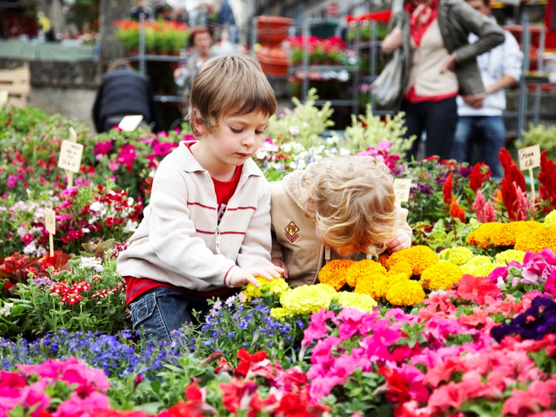 Marché aux fleurs de Bazas