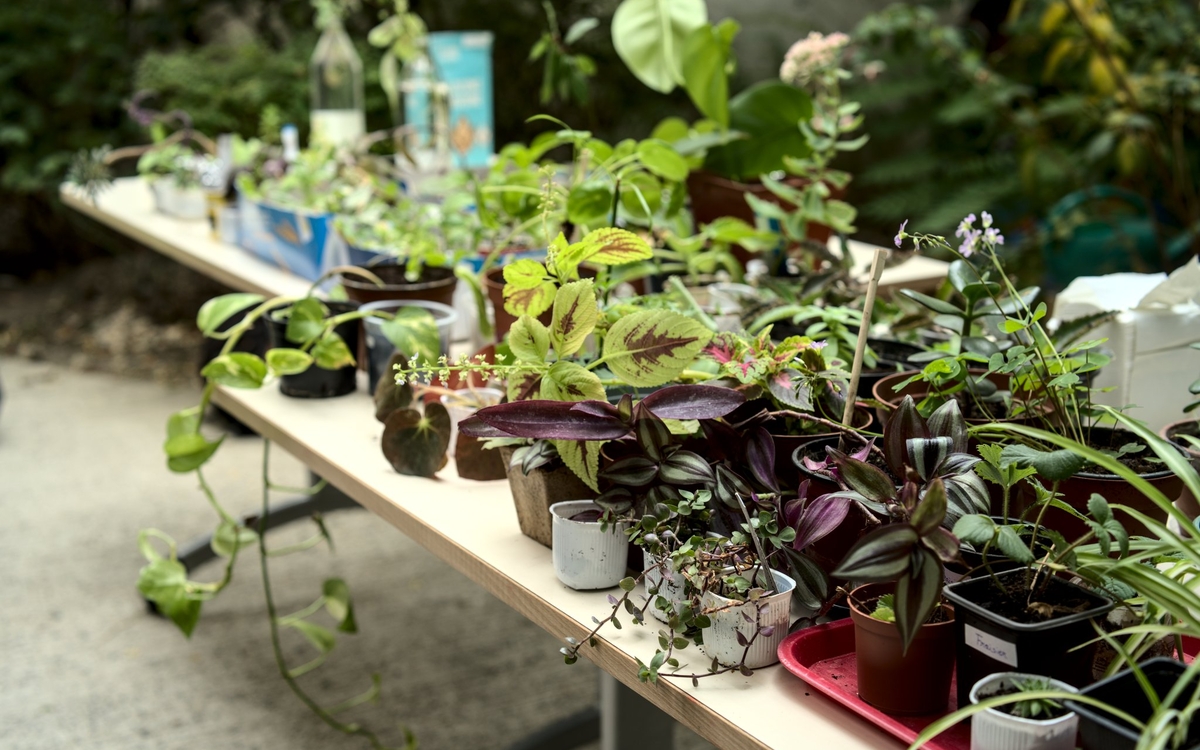 Café ô Jardin Médiathèque de la Canopée Paris