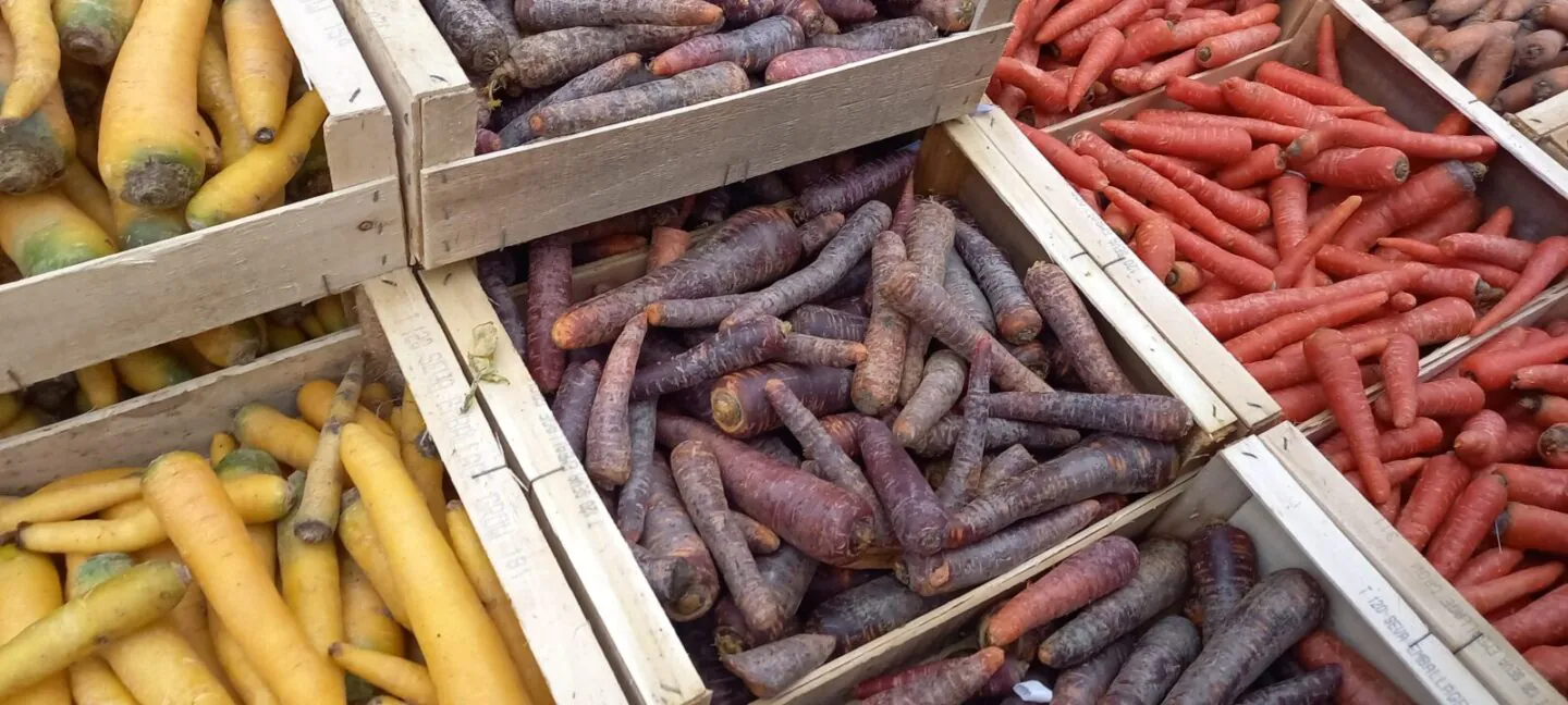 Repas de Noel
Marché des Lices
Rennes