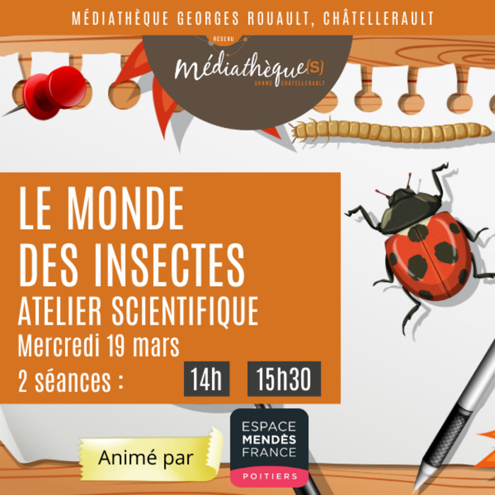 Le monde des insectes atelier scientifique