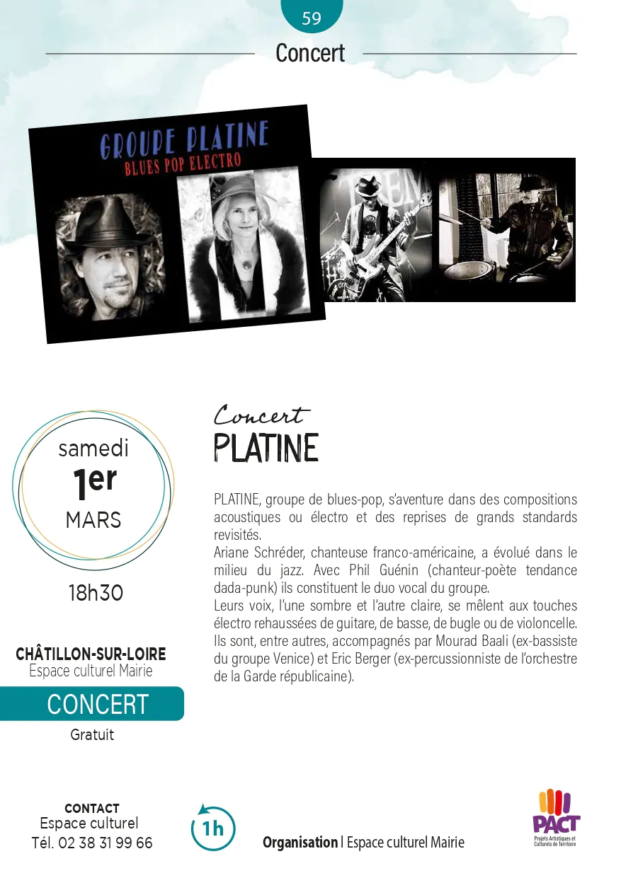 Concert du groupe "Platine" (blues-pop)