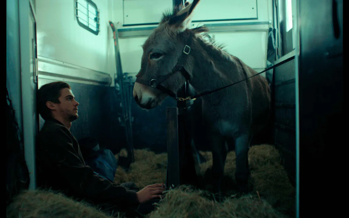 Cinéclub au Carreau du Temple : l'animal sur le grand écran ! Le Carreau du Temple Paris