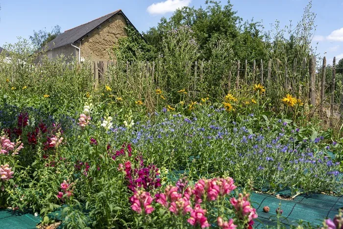 Créer le jardin du futur Dans le jardin d'un particulier Le Rheu