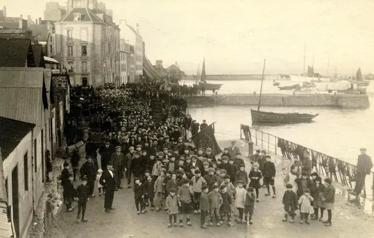 fèves des sardinières