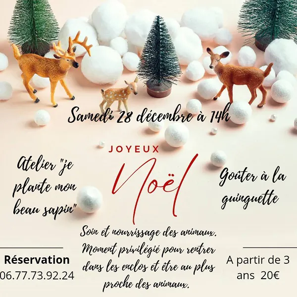 Joyeux Noël à la Ferme de Coussoulat