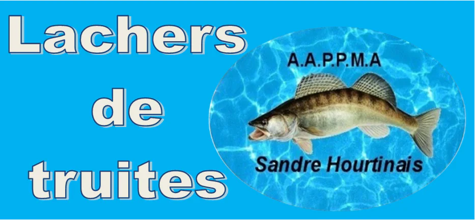 Lâcher de truites Organisé par le Sandre Hourtinais A.A.P.P.M.A