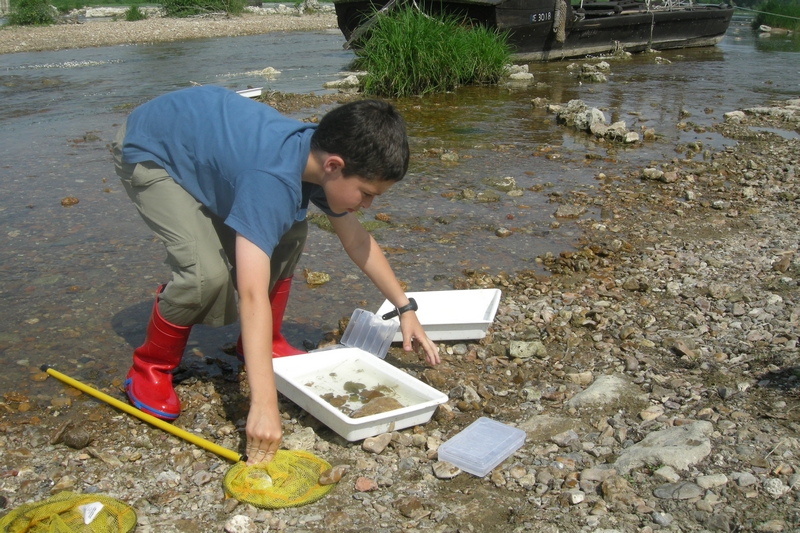 Balade Loire A la découverte des petites bêtes terrestres