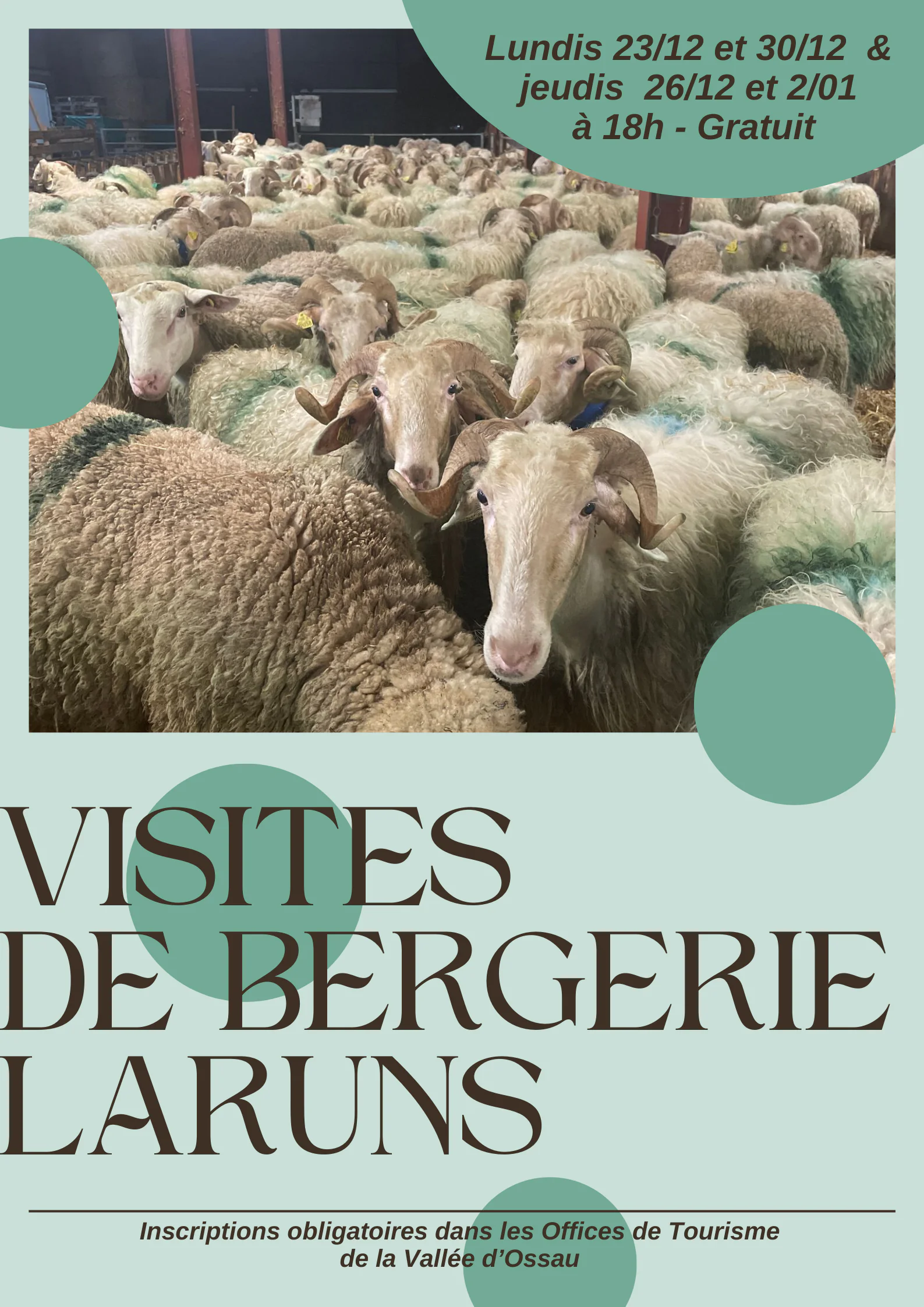 Visite à la bergerie