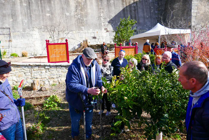 Atelier ‘‘La taille des arbres fruitiers’’ Les Terrasses du Bosquet Alès