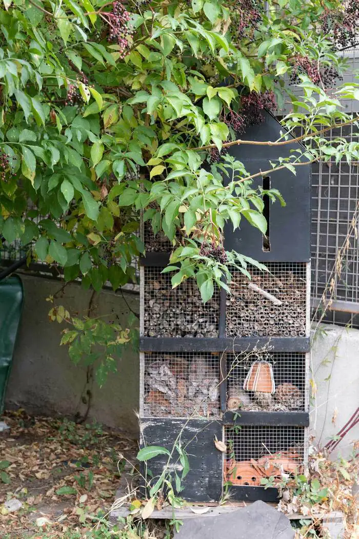 Atelier : “Hôtel à insectes” Maison des familles Anduze