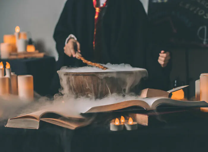 Nuit Harry Potter : pour une nuit magique ! Médiathèque Danièle Damin Toulouse