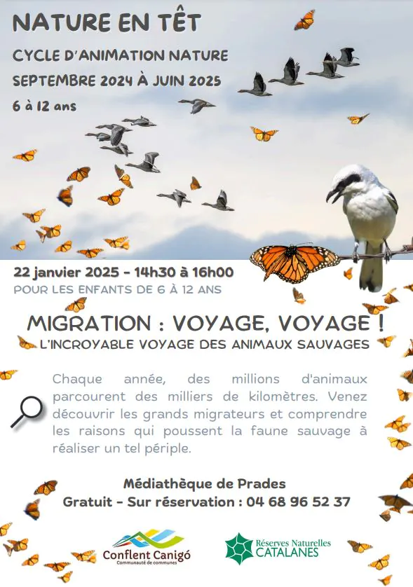 NATURE EN TÊT "MIGRATION: VOYAGE