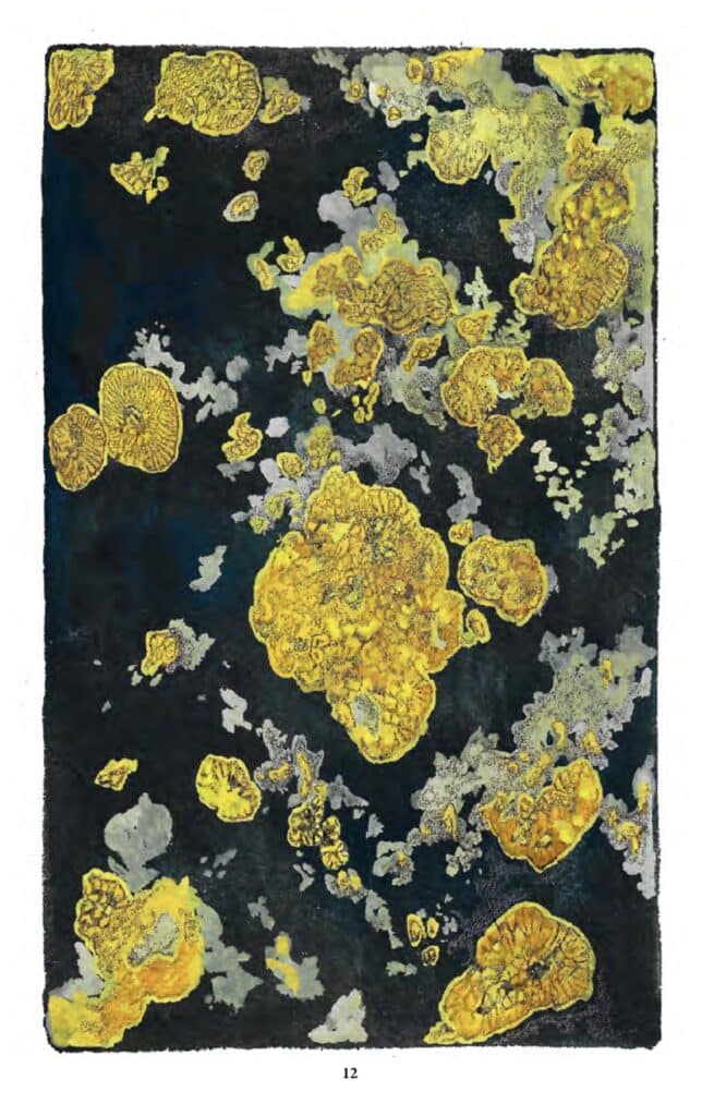 Rature Philippe claudel Lucille Clerc Stock