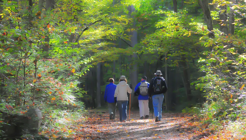 Randonnée pédestre "Cascades et Landes d'Augerolles"