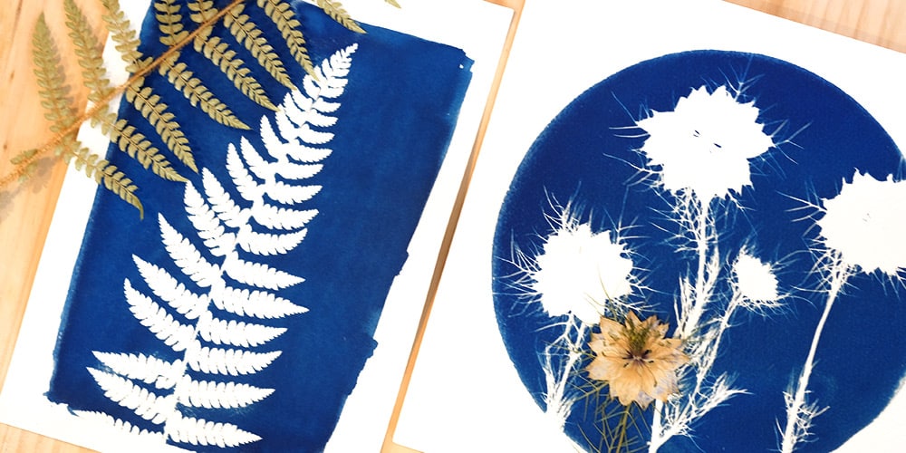 Les lundis de l'été Atelier cyanotype