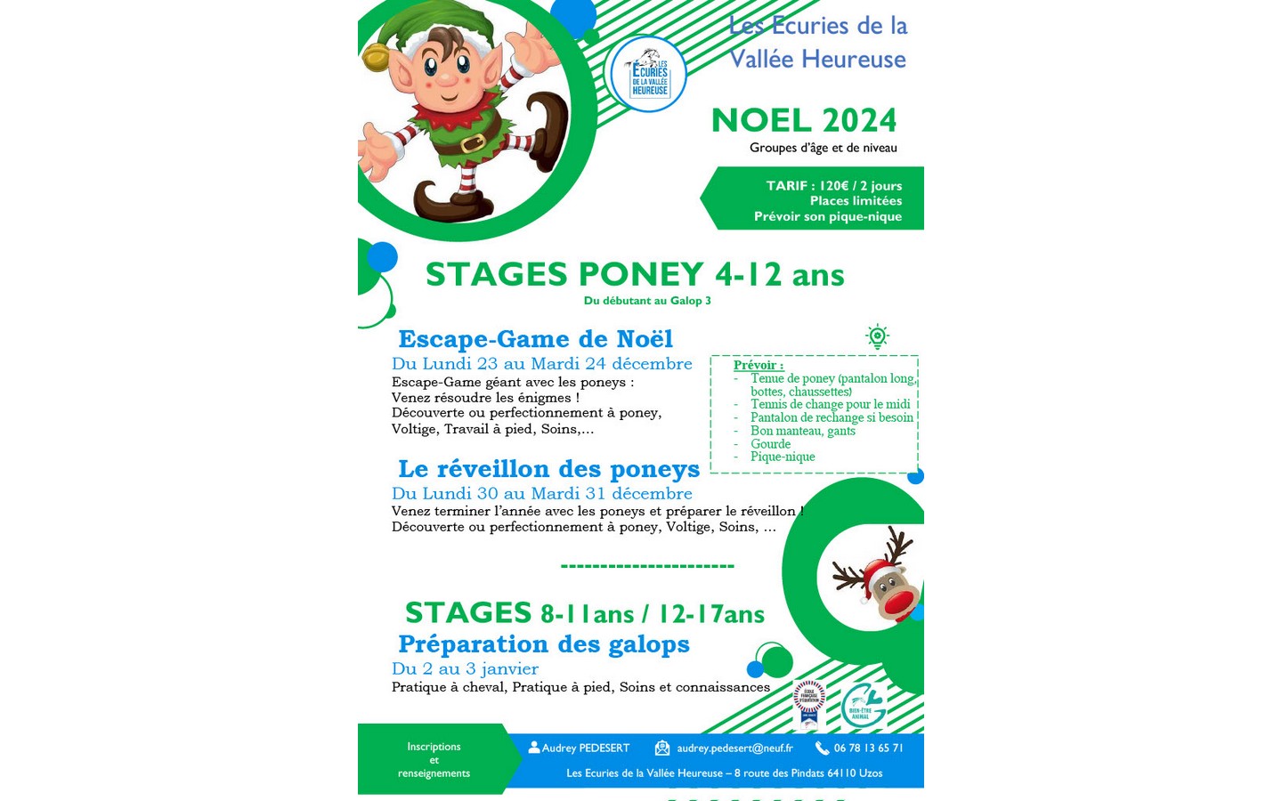 Stages Poneys Noël