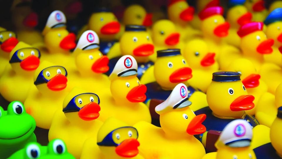 LA DUCK RACE