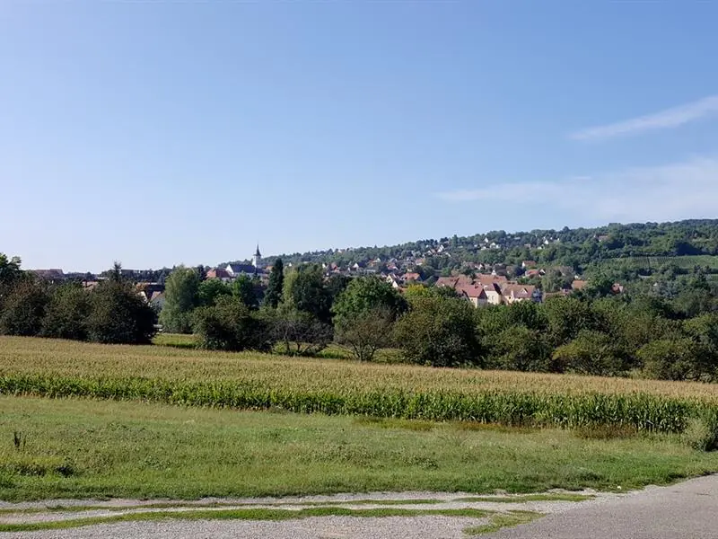 Circuit rando Autour du Bischenberg Rosheim Grand Est