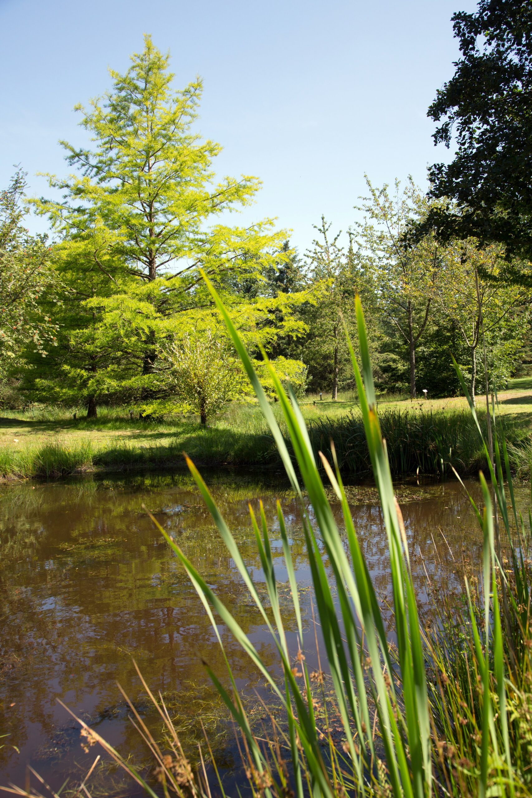 En passant par la Benette La Framboisière Centre-Val de Loire